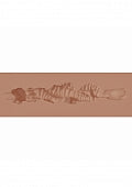 XKIN RAW THE GRIP MASURBATOR SMALL TAN