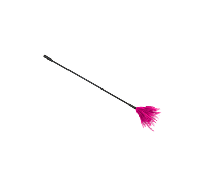 LOVE IN LEATHER CROP WITH FEATHER TICKLER RED