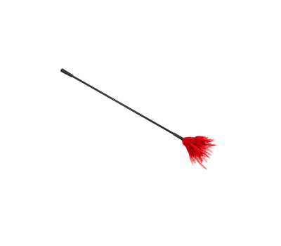 LOVE IN LEATHER CROP WITH FEATHER TICKLER RED